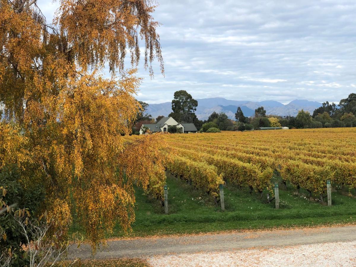 Vineyard Cottage In Blenheim On The Golden Mile Exterior foto
